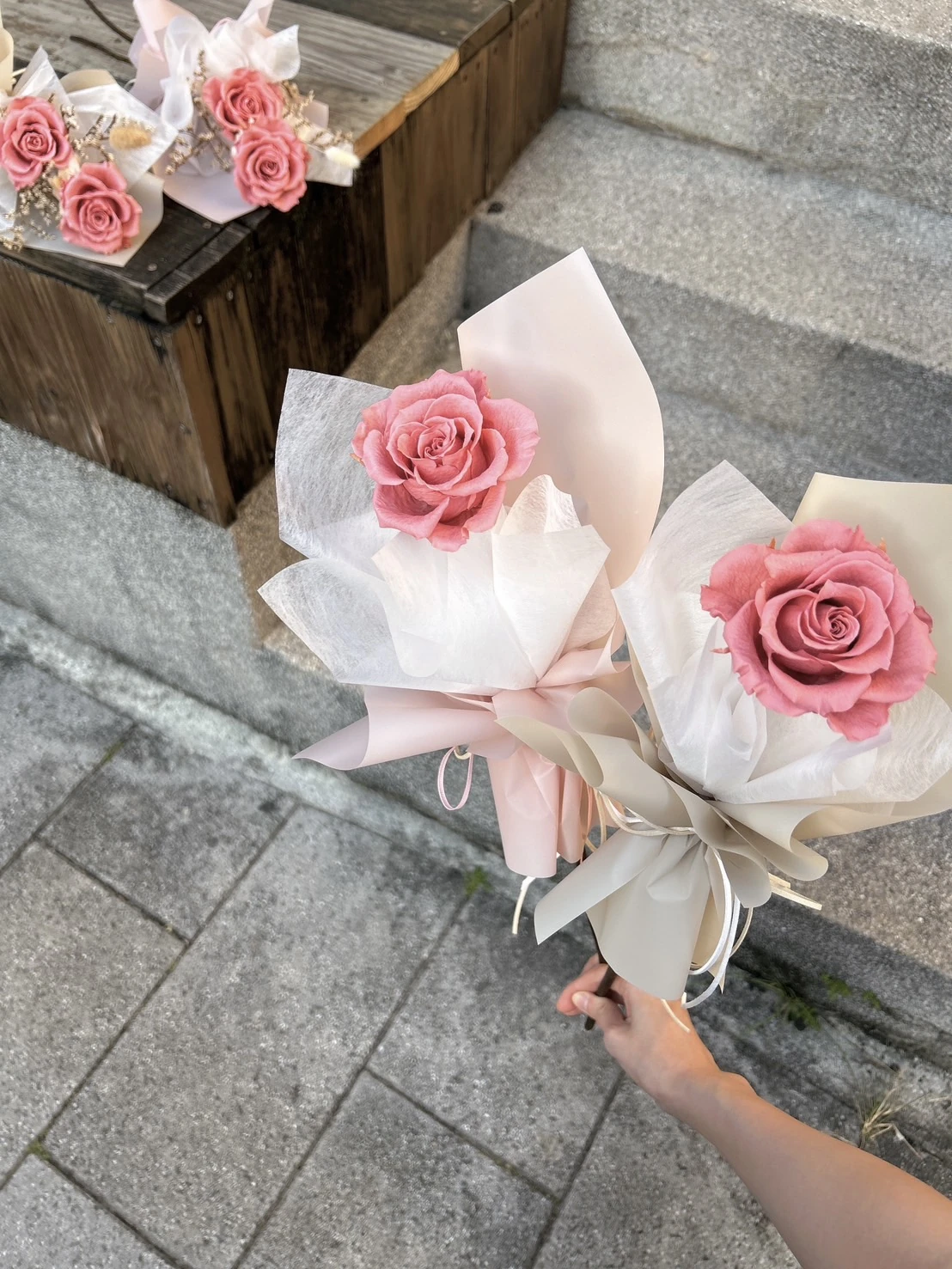 潮序、浪詩、珊影、暖流、北緯66——五大系列完整介紹